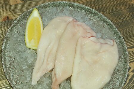 Кальмар командорский