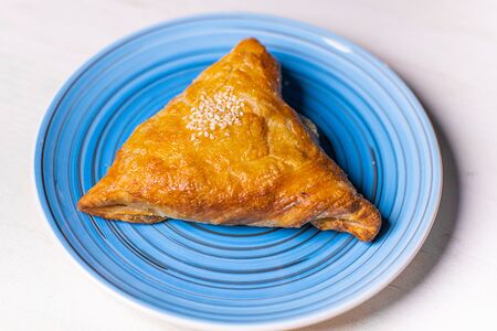 Самса с курицей