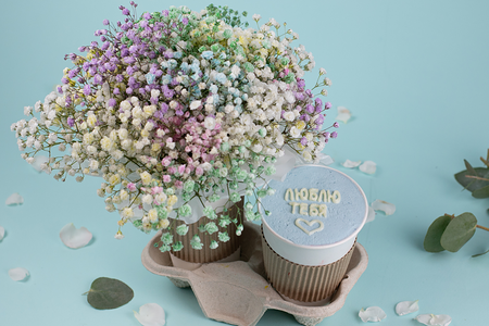 Подарочный набор букет Облако гипсофил и десерт