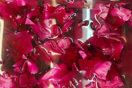 Капуста красная