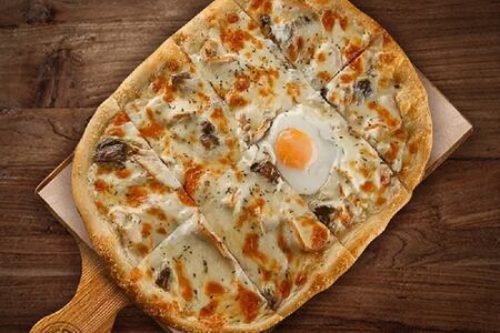 Bravo / L (25смх18см)