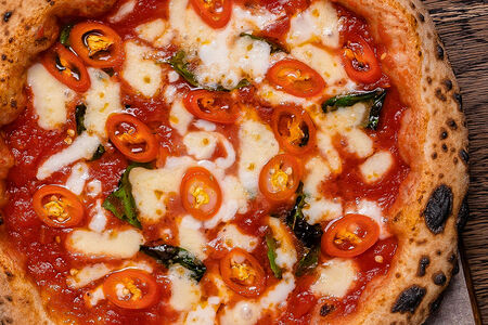 Маргарита острая