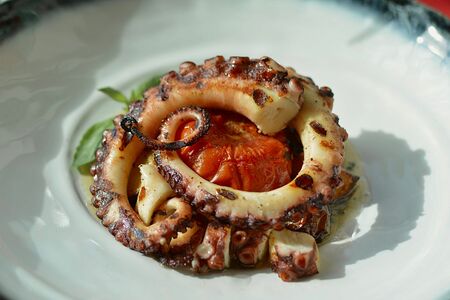 Осьминог гриль