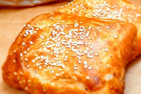 Самса с курицей