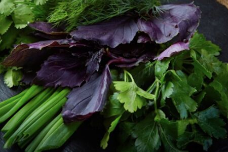 Зеленый сад