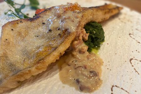 Филе судака