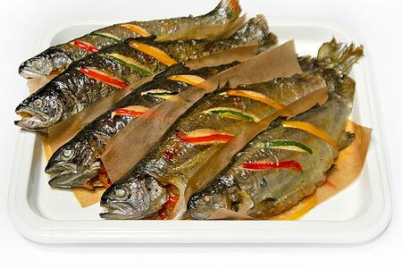 Форель радужная