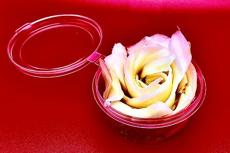 Имбирь маринованный