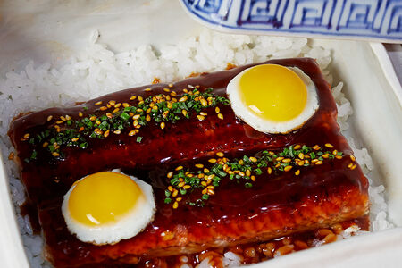 Унадзю с угрем