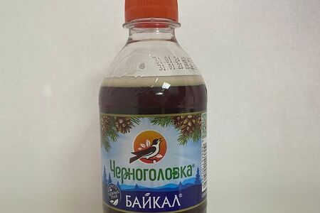 Черноголовка Байкал