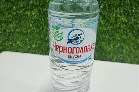 Вода Черноголовка (без газа)