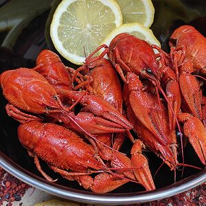 Раки вареные в ароматном бульоне средние (25-32 шт. в кг.)