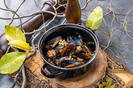 Черноморские мидии