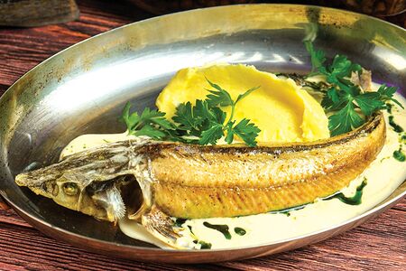 Сурская стерлядь