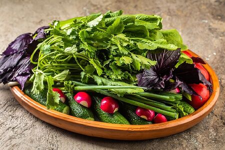 Свежие овощи с зеленью