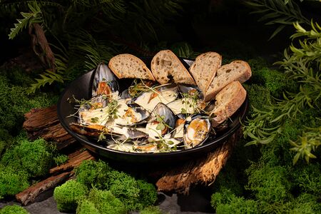 Мидии блю чиз