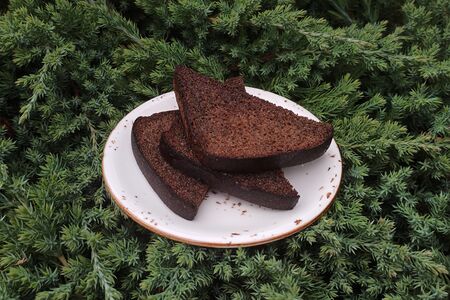 Бородинские гренки