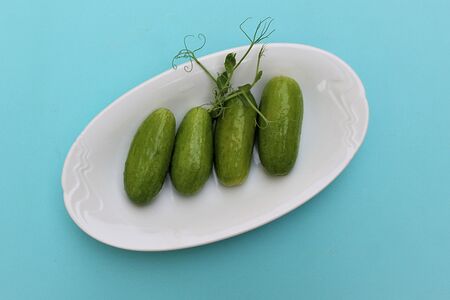 Малосольные огурцы