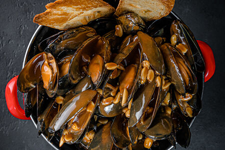 Мидии Сникерс