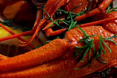 Раки вареные (размер 4)