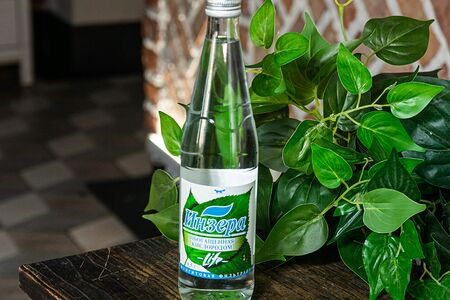 Инзера не газированная вода