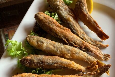 Черноморская барабулька