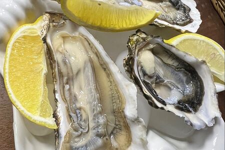 Устрица Императорская Хасанская №1