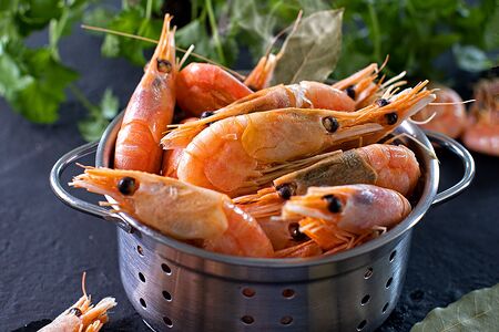 Креветки северные в глазури