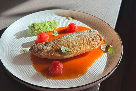 Сибас с гуакамоле