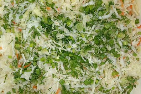 Квашеная капуста