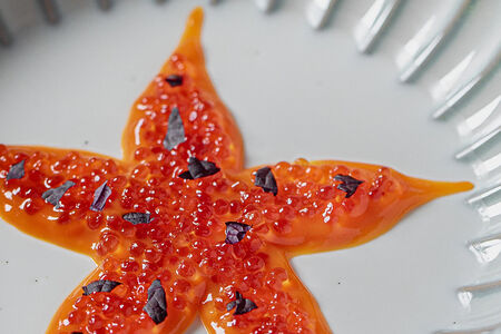 Ванильная панна котта с малиновым соусом