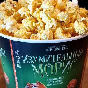 Попкорн соленый большой
