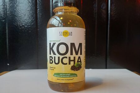 Напиток Kombucha
