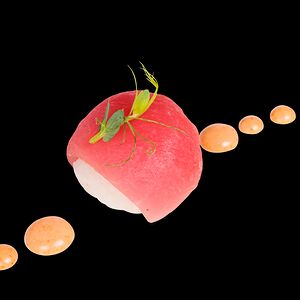 Մագուրո տեմարի