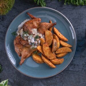 Цыпленок Кристер