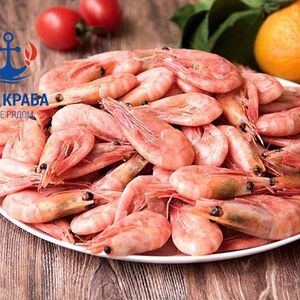 Креветка Северная
