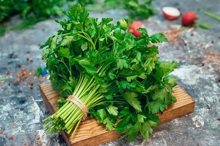 Кинза свежая