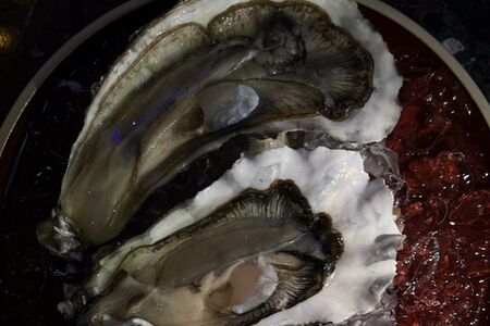 Дальневосточные устрицы