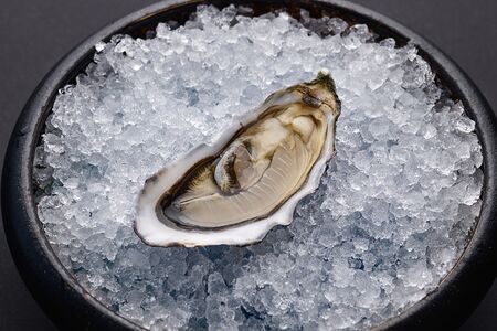 Устрица Розовая Джоли