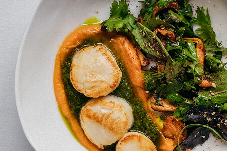 Обжаренные гребешки с кремом из батата