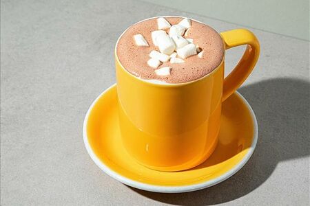 Какао на обычном молоке