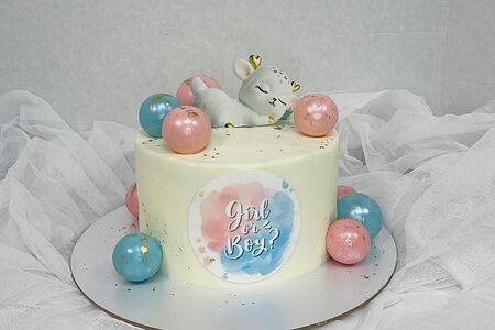 Торт Гендер пати