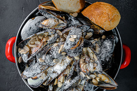 Мидии Рафаэлло