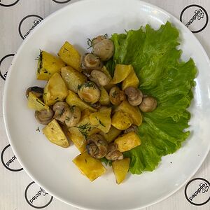 Սնկի տապակա