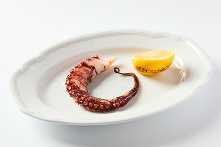 Щупальце осьминога