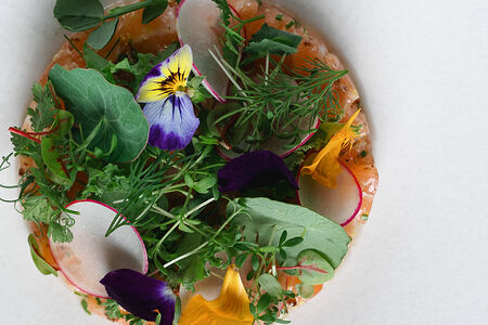 Тартар из лосося