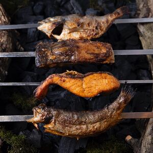 Форель речная