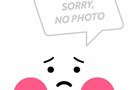 Сыр Пармезан