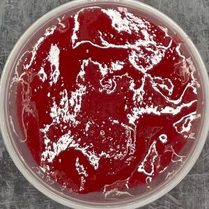 Фруктовый джем