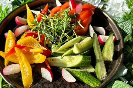 Ассорти из свежих овощей